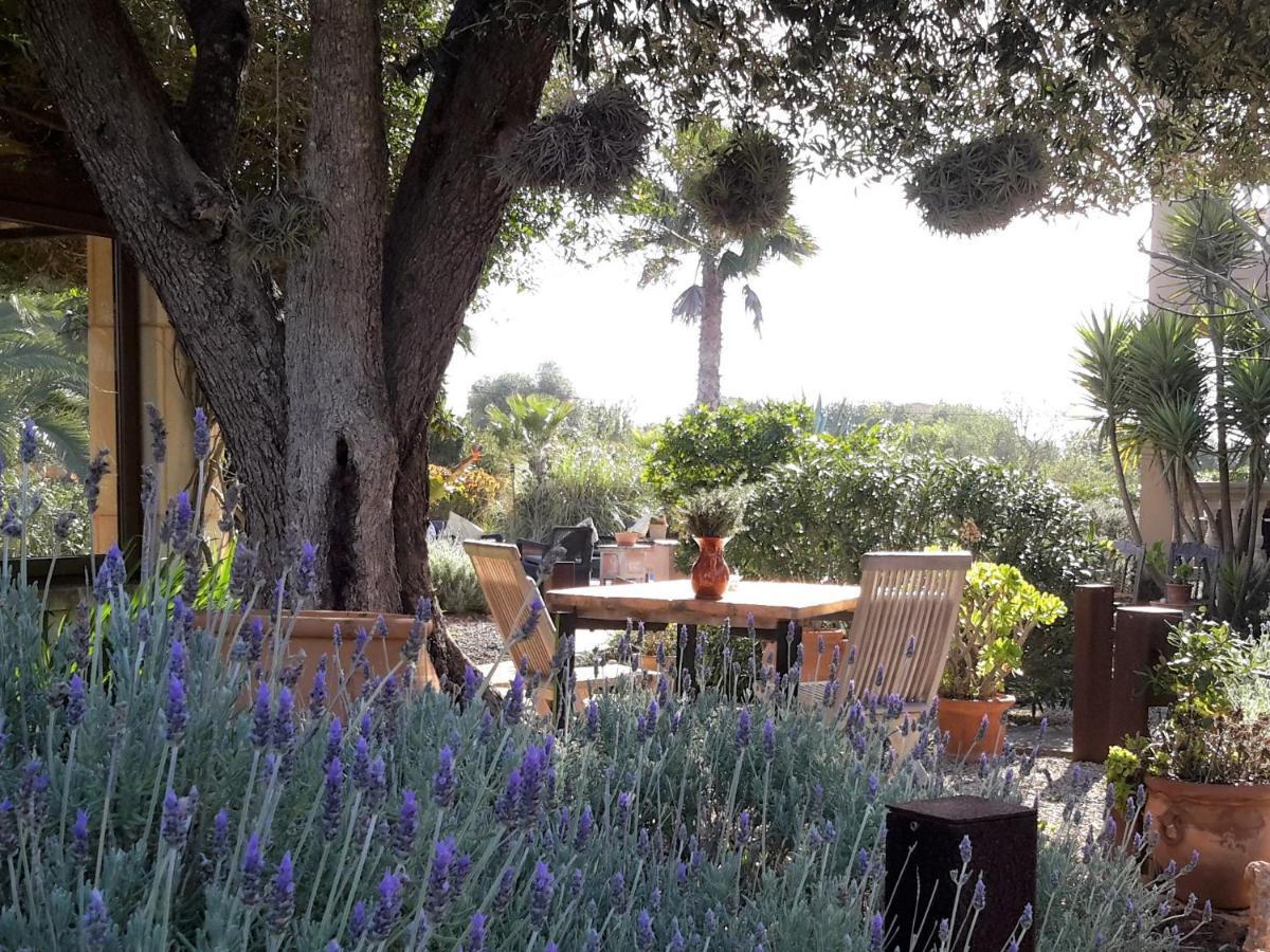 Alqueria Fosca * Campos (Mallorca)