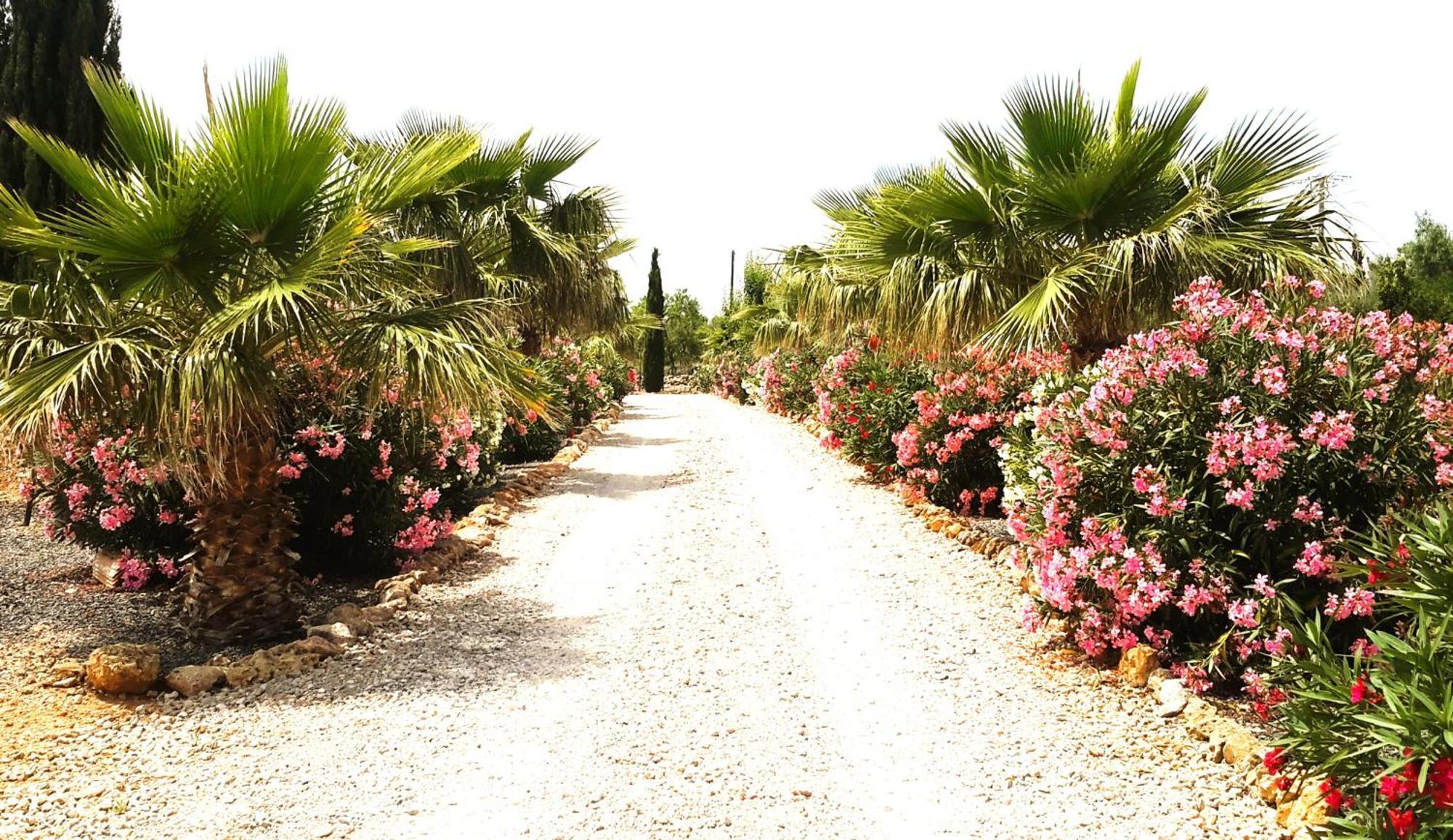 Ferienhaus Alqueria Fosca *