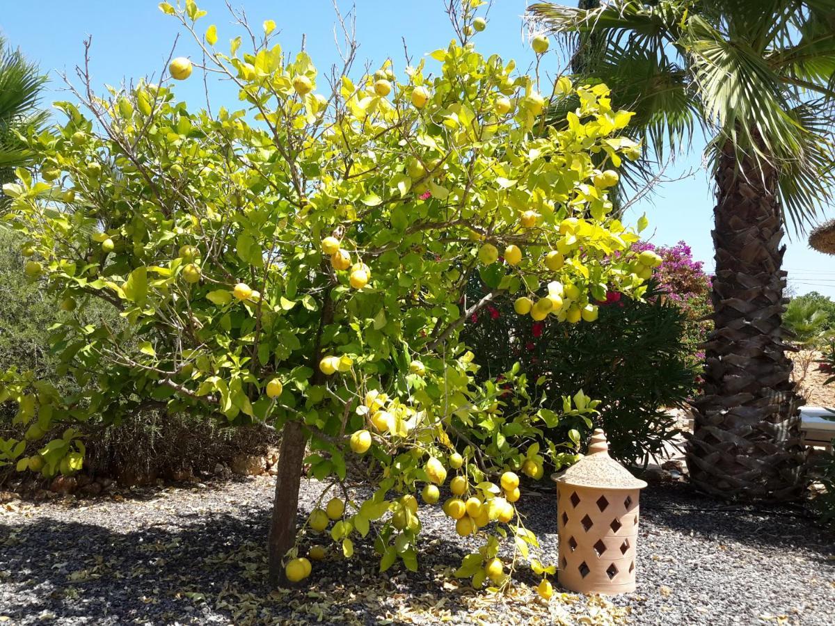 Semesterbostad Alqueria Fosca Campos (Mallorca)